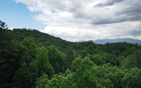 Trail 3 Cindy Cove Road Blairsville GA 30512