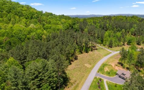 LT158 Stables Loop Blairsville GA 30512