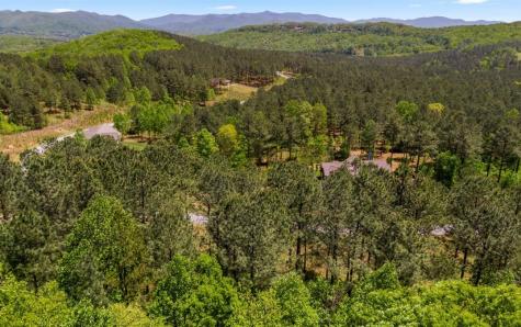 LT158 Stables Loop Blairsville GA 30512