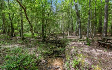 LT158 Stables Loop Blairsville GA 30512