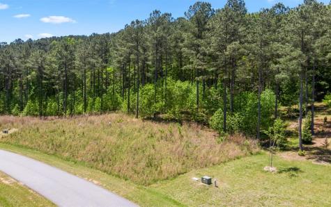 LT158 Stables Loop Blairsville GA 30512