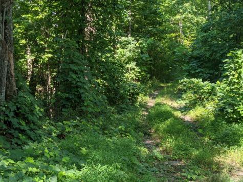 000 Town Mountain Road Hayesville NC 28906