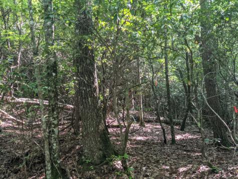 000 Town Mountain Road Hayesville NC 28906