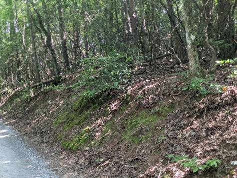 000 Town Mountain Road Hayesville NC 28906