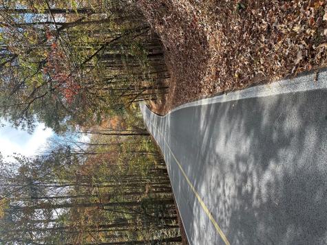 Lt 291 Creekside Trail Ellijay GA 30540