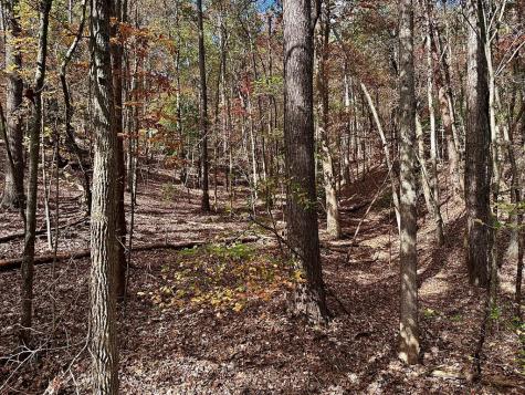 Lt 291 Creekside Trail Ellijay GA 30540