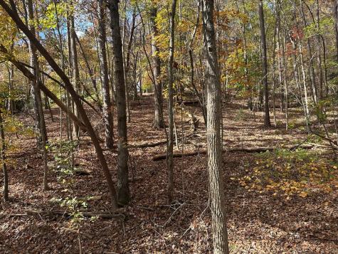 Lt 291 Creekside Trail Ellijay GA 30540