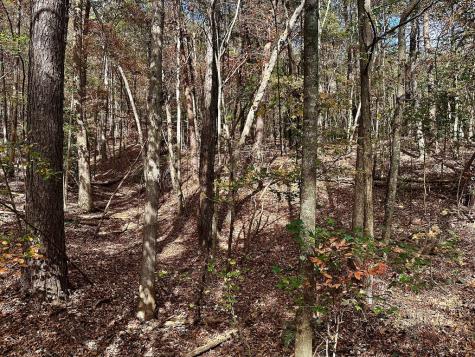 Lt 291 Creekside Trail Ellijay GA 30540