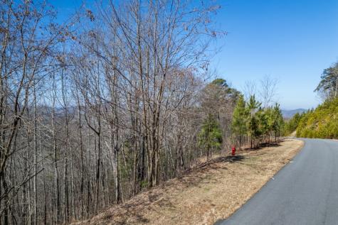 Lot 370 Thirteen Hundred Blairsville GA 30512