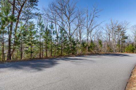 Lot 370 Thirteen Hundred Blairsville GA 30512