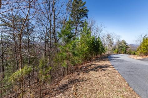 Lot 370 Thirteen Hundred Blairsville GA 30512