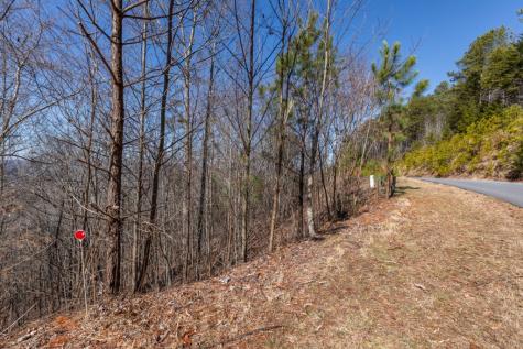 Lot 370 Thirteen Hundred Blairsville GA 30512