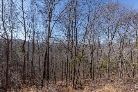 Lot 370 Thirteen Hundred Blairsville GA 30512