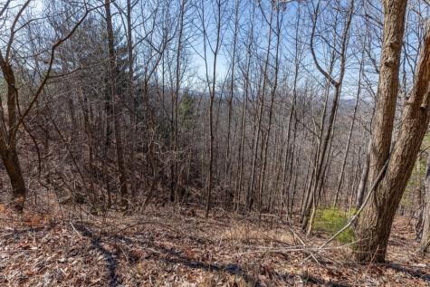 Lot 370 Thirteen Hundred Blairsville GA 30512