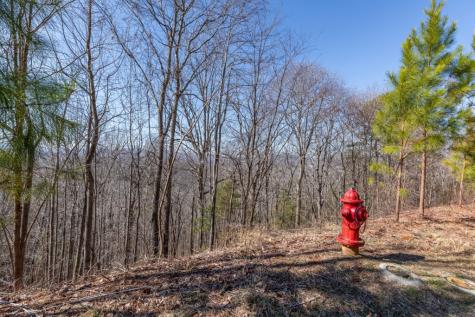 Lot 370 Thirteen Hundred Blairsville GA 30512