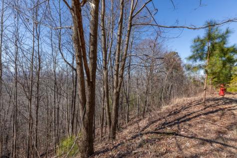 Lot 370 Thirteen Hundred Blairsville GA 30512