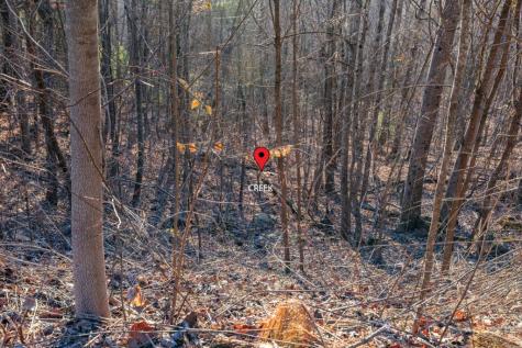 Lot 370 Thirteen Hundred Blairsville GA 30512