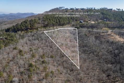 Lot 370 Thirteen Hundred Blairsville GA 30512