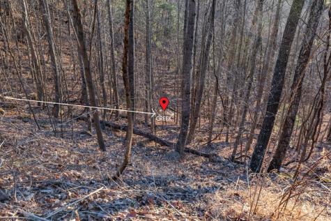 Lot 370 Thirteen Hundred Blairsville GA 30512