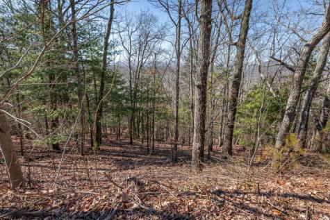 Lot 370 Thirteen Hundred Blairsville GA 30512