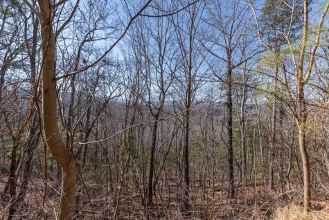 Lot 370 Thirteen Hundred Blairsville GA 30512