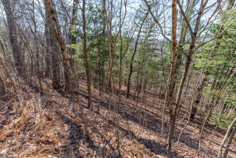 Lot 370 Thirteen Hundred Blairsville GA 30512