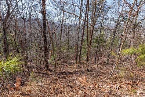 Lot 370 Thirteen Hundred Blairsville GA 30512