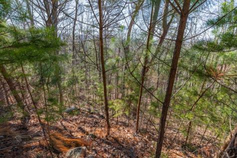 Lot 370 Thirteen Hundred Blairsville GA 30512