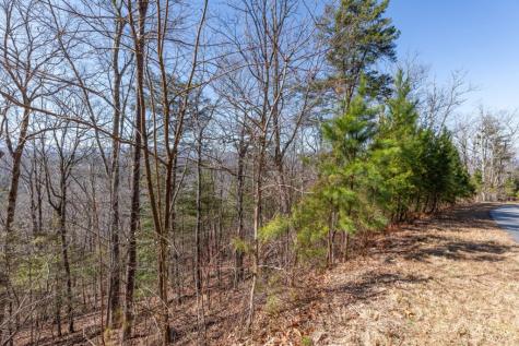 Lot 370 Thirteen Hundred Blairsville GA 30512