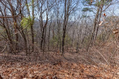 Lot 370 Thirteen Hundred Blairsville GA 30512