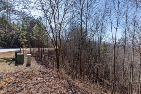 Lot 370 Thirteen Hundred Blairsville GA 30512
