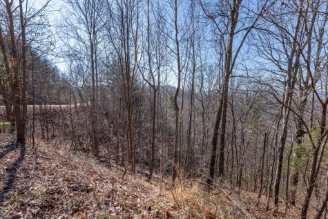 Lot 370 Thirteen Hundred Blairsville GA 30512