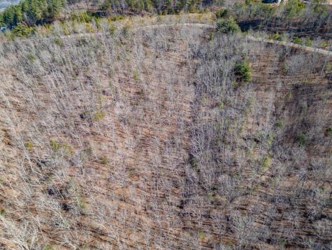 Lot 370 Thirteen Hundred Blairsville GA 30512