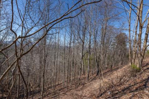 Lot 370 Thirteen Hundred Blairsville GA 30512