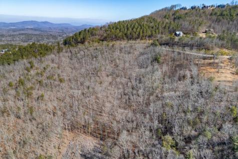 Lot 370 Thirteen Hundred Blairsville GA 30512