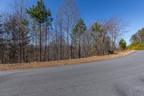 Lot 370 Thirteen Hundred Blairsville GA 30512