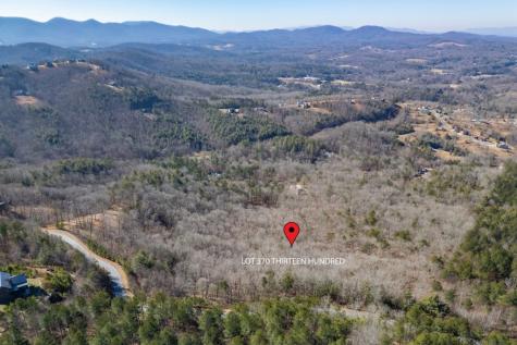 Lot 370 Thirteen Hundred Blairsville GA 30512