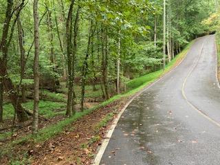 Lot 3485 Bamby Lane Ellijay GA 30540