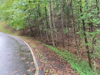 Lot 3485 Bamby Lane Ellijay GA 30540