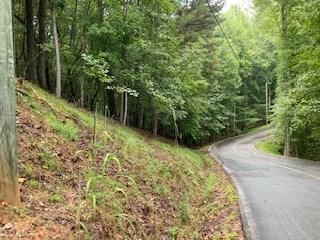 Lot 3485 Bamby Lane Ellijay GA 30540