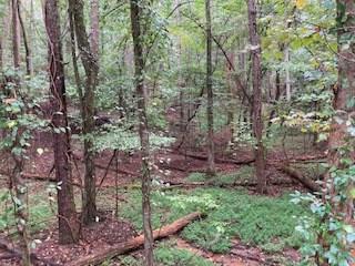 Lot 3485 Bamby Lane Ellijay GA 30540