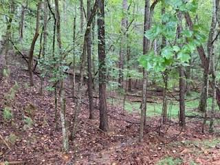 Lot 3485 Bamby Lane Ellijay GA 30540