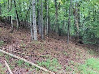 Lot 3485 Bamby Lane Ellijay GA 30540