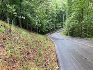 Lot 3485 Bamby Lane Ellijay GA 30540