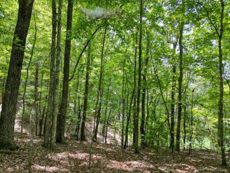 Lot 7 Noontootla Overlook Blue Ridge GA 30513