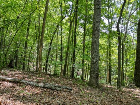 Lot 7 Noontootla Overlook Blue Ridge GA 30513