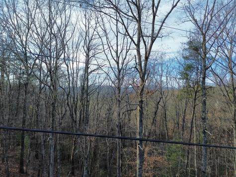 Tract 2 Century Lane Blue Ridge GA 30513