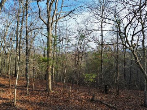 Tract 2 Century Lane Blue Ridge GA 30513