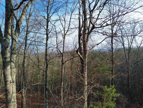 Tract 2 Century Lane Blue Ridge GA 30513