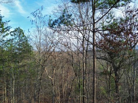 Tract 2 Century Lane Blue Ridge GA 30513